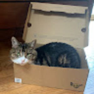 Meet your Posher, Rubi